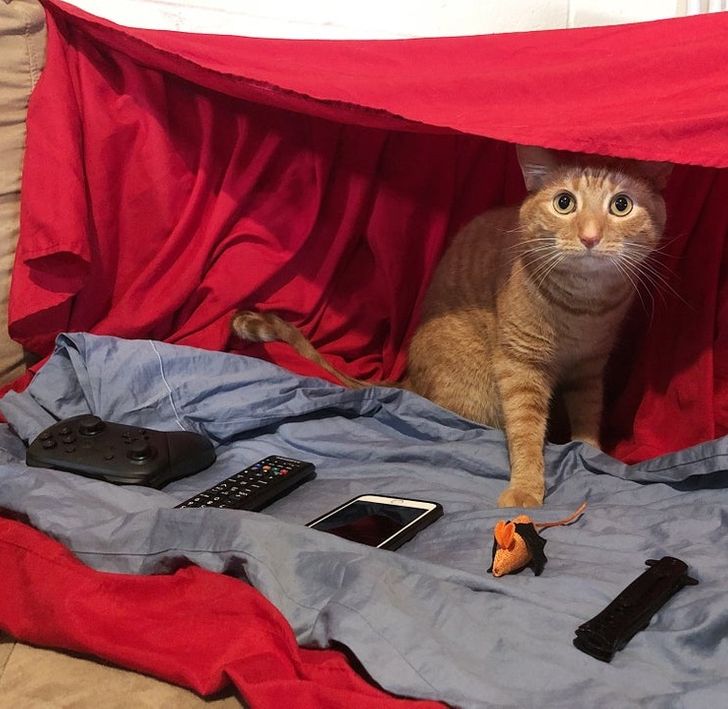 a64dfd58e989874d8b96feb574