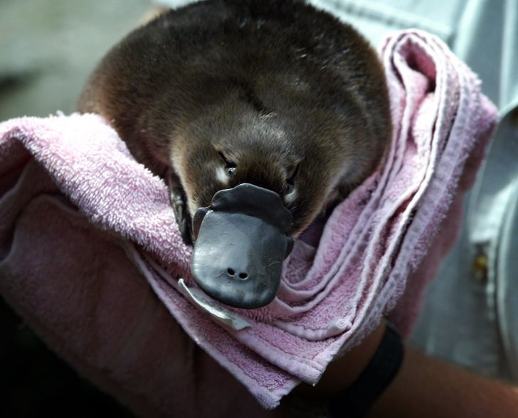 a653675cf194a7a1774e58b534