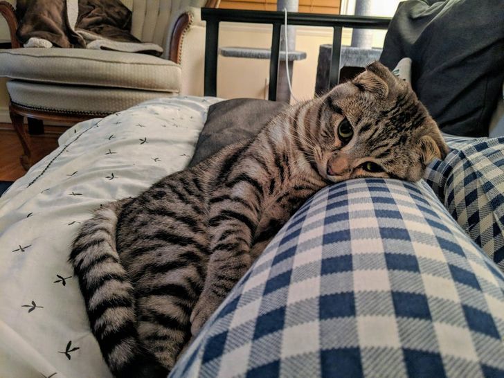 a661da5ae7b9baf910735f46ee