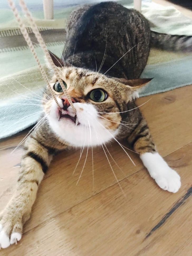 a6654c5cd49f514fff4b5de5f7