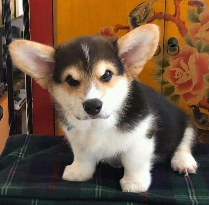 a666895667a42cb149a849e896