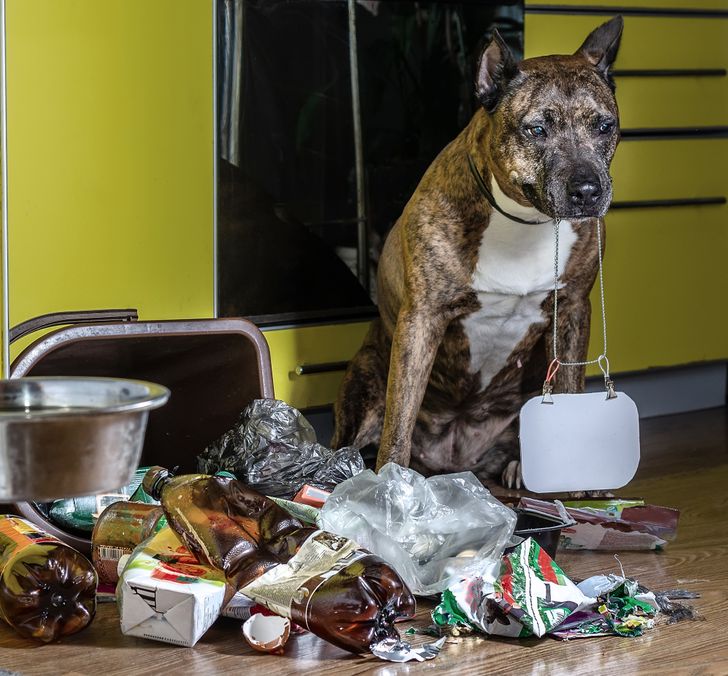 a66e995528bd4d47b621e515db