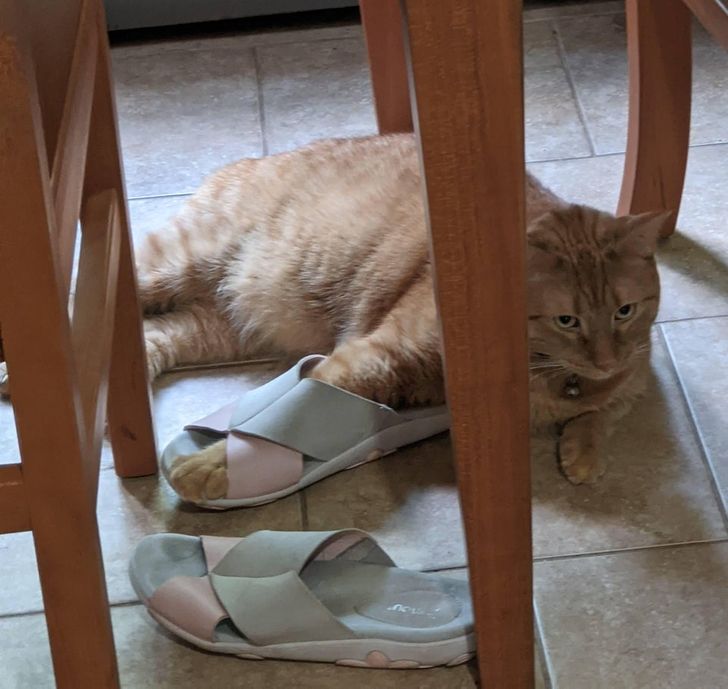 a673275df28a5afbfba5056e56