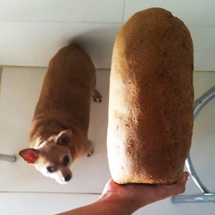 a673fa5149a7b97649a82d0482