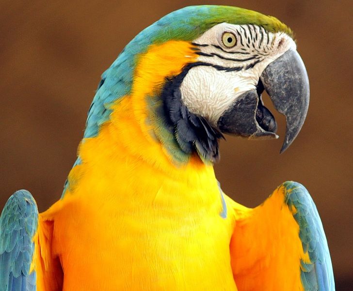 a679265e46af5f133374c19024