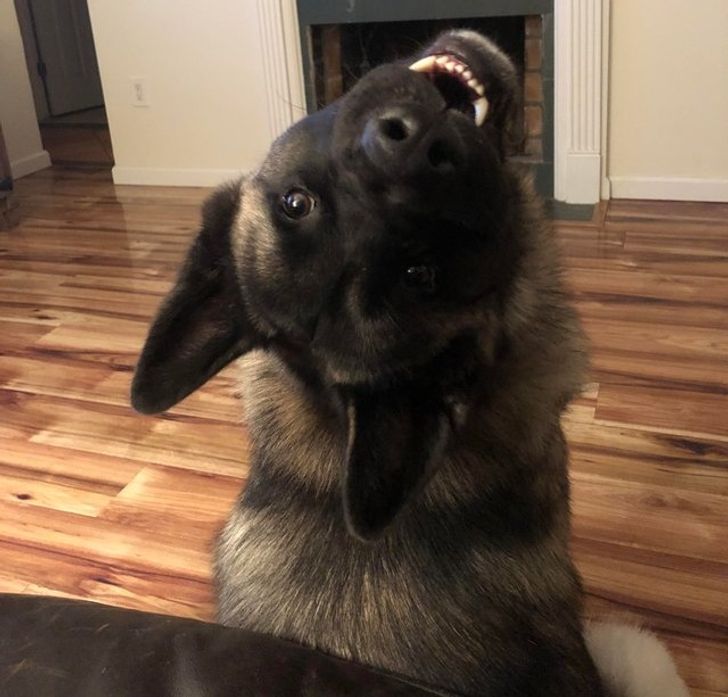 a67acb5a62b7161d6ae5ff5f58