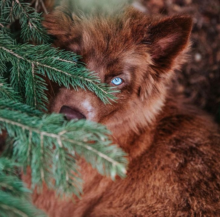 a67f7a5a538f5b486d3dd98785