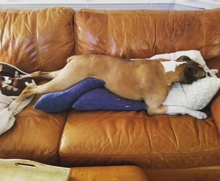 a68071570a84d58344dd62ec03