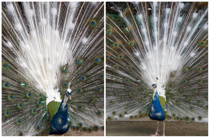 a680ec5ec5acd64d6f45d63852 a680ec5ec5acd64d6f45d63852