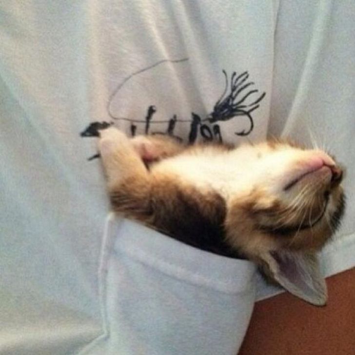 a688715de58cb79af00f6430bf