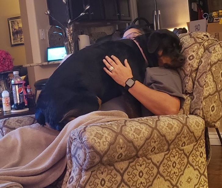 a68f605ee896be26c26ff3f618