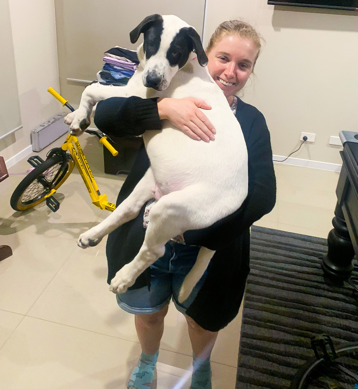 a693c057d3989b204f0c34c538 a693c057d3989b204f0c34c538