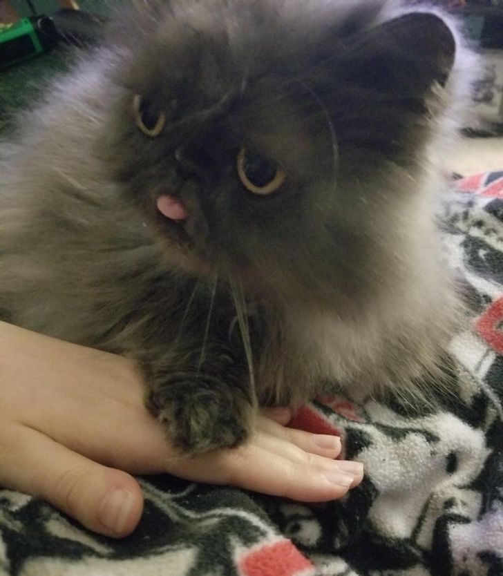 a696595d0f851bf1602caba0c2