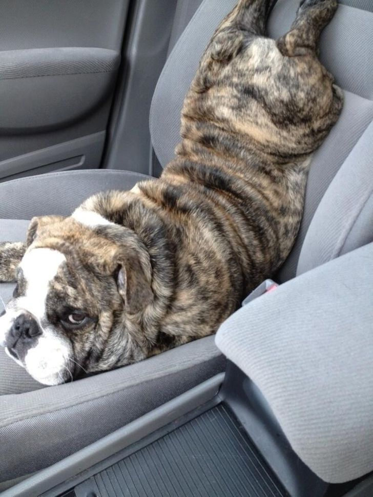 a697f45068b7d70a6b2f984987