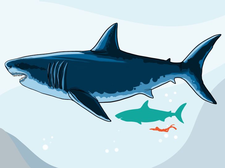 a69a215c3795fb077d0956b49c