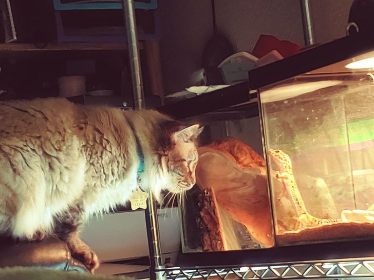 a6a84457b1a55ae45dceab9bdf