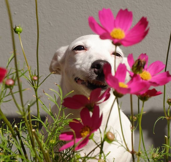 a6c2295962895eabffe427c8be