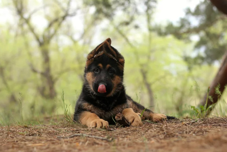 a6cd6c5c6daff6406a32f4a70f