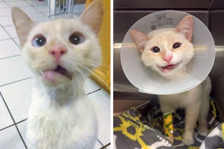 a6cf095ca4b47507d73ab2ff8e