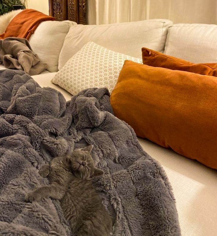 a6d5045ea0af5e2351934594c2