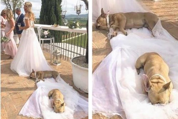 a6dda95ba8a98f7058806abd19