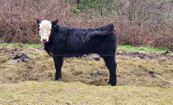 a6e3c75b93999c8abb48e7a13c