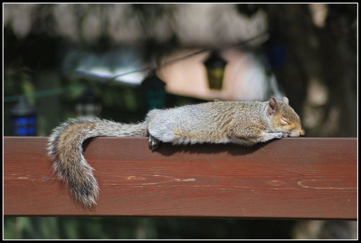 a6e4135fe184cd51b74b2bacad