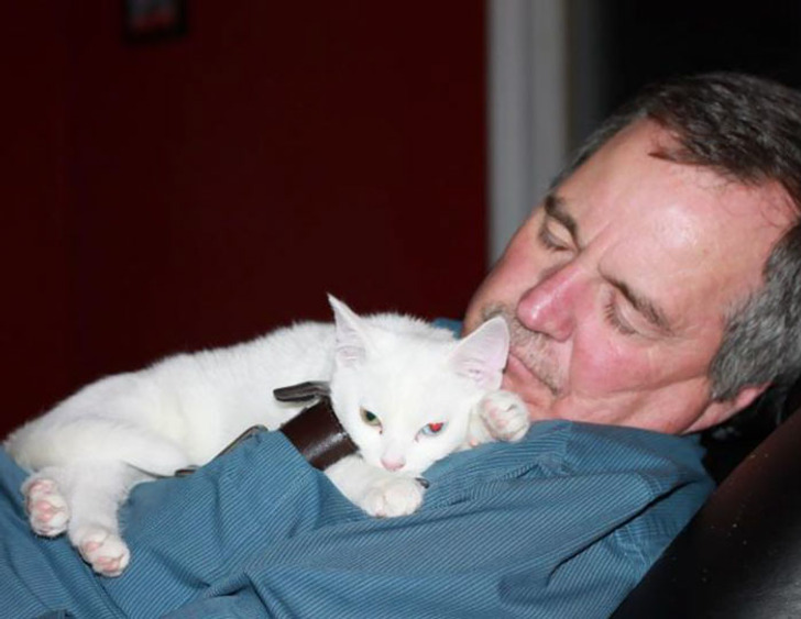 a6e5ae575a888a37e3758744dd a6e5ae575a888a37e3758744dd