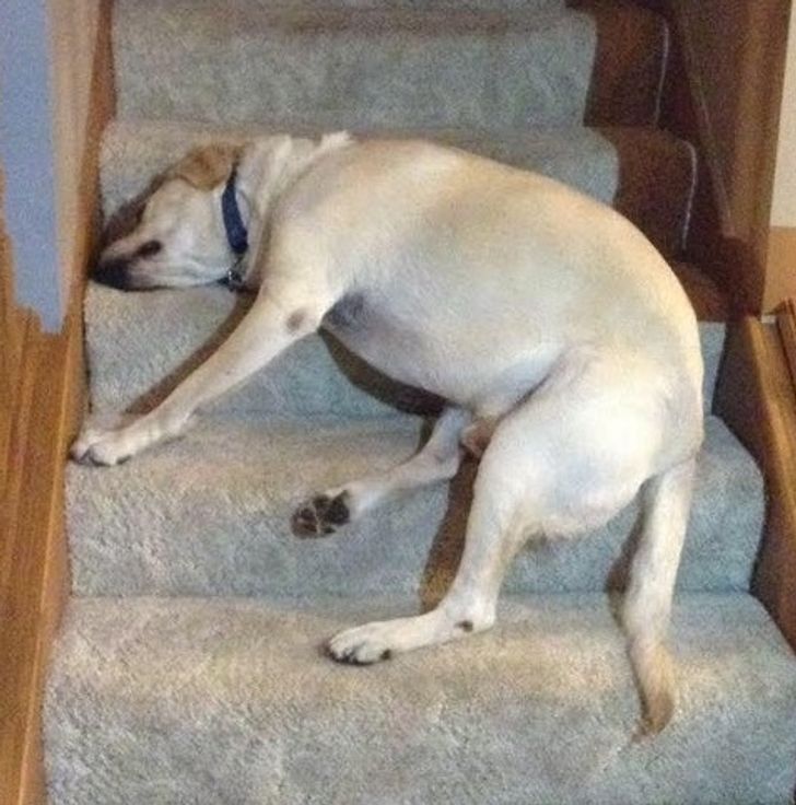 a6e5af5f1d82a1b7f2390e45dc