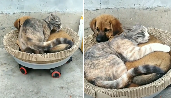 a6ee9d5510b3891e79125b1203