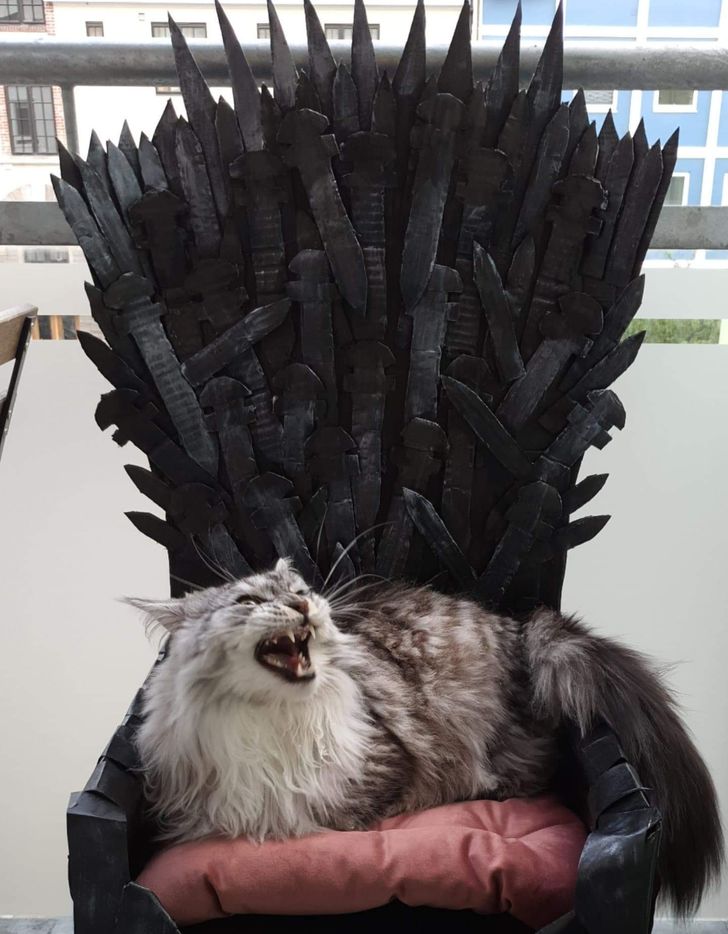 a6f54d582bbfa0451ae2ccf0e7