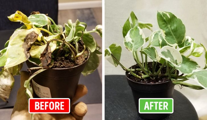 a6f9c6532ca71b85a4be606419