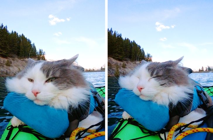 a70ac85d13a4bd911b6e17247b