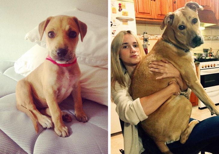 a717345642920964dbef66e533