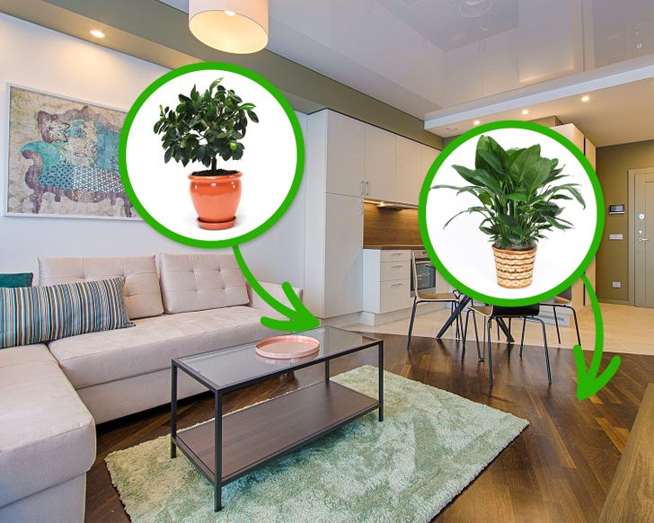 a7198f5cd19f5e28e477bd2bcd