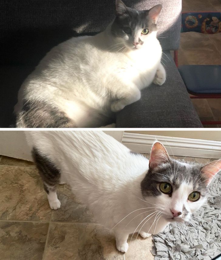 a71a8e56d2b3d115b247d6551b