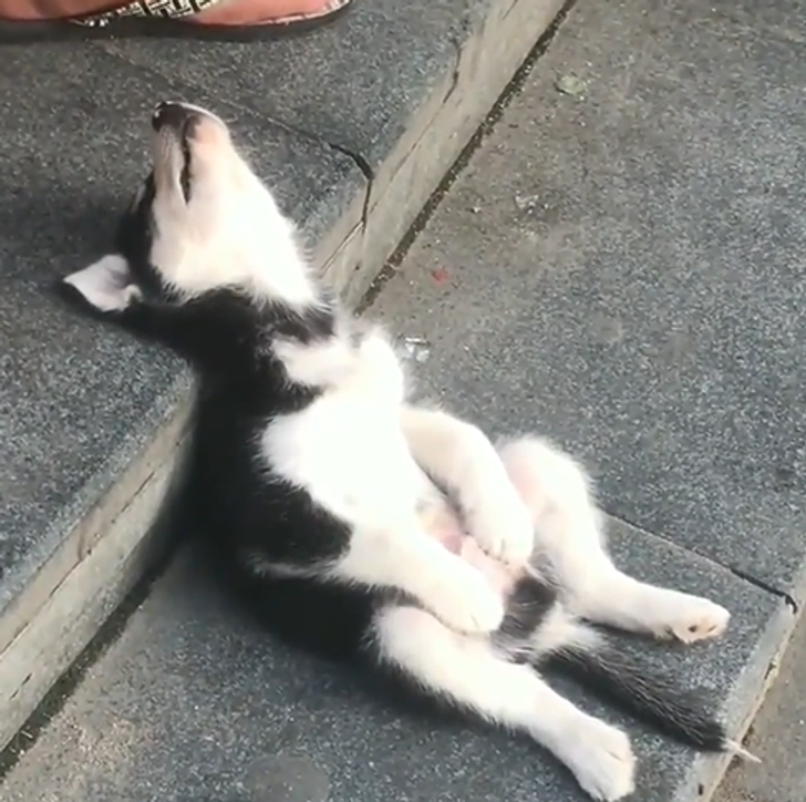 a71bf45647b252bcad199e7f86