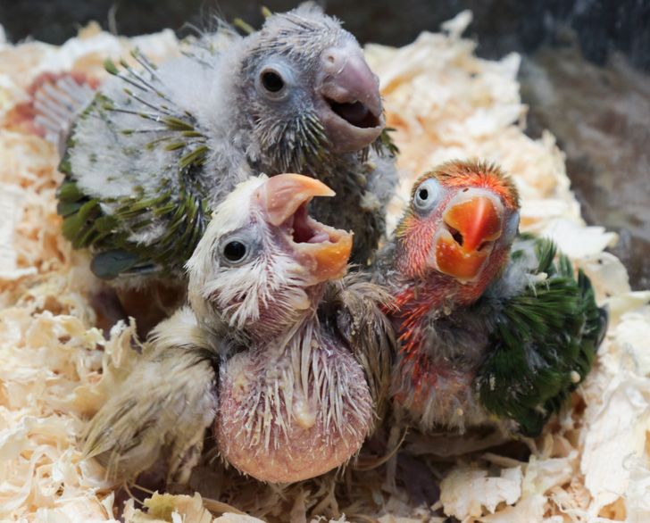 a71de55f13ab220548d8e719d0