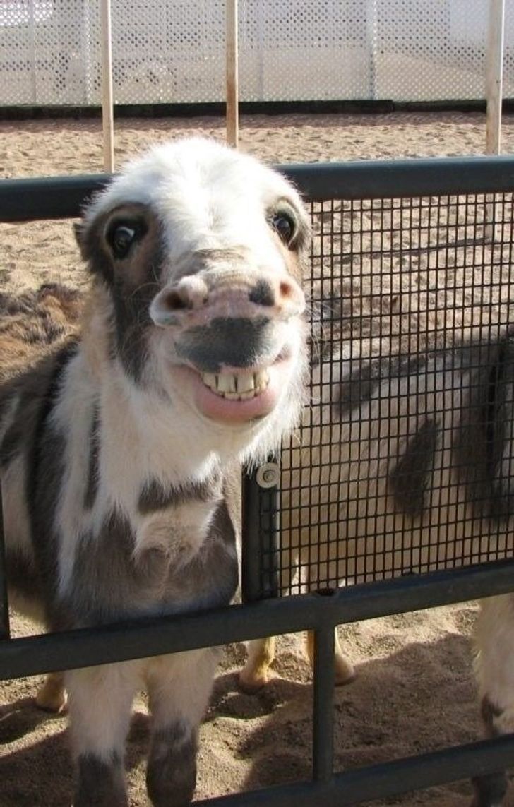 a72756544bb7708fbe31e0af85