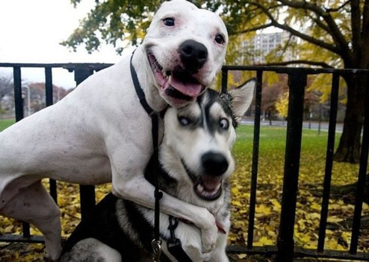 a728b05bf5a3fa63f30fdf8be8