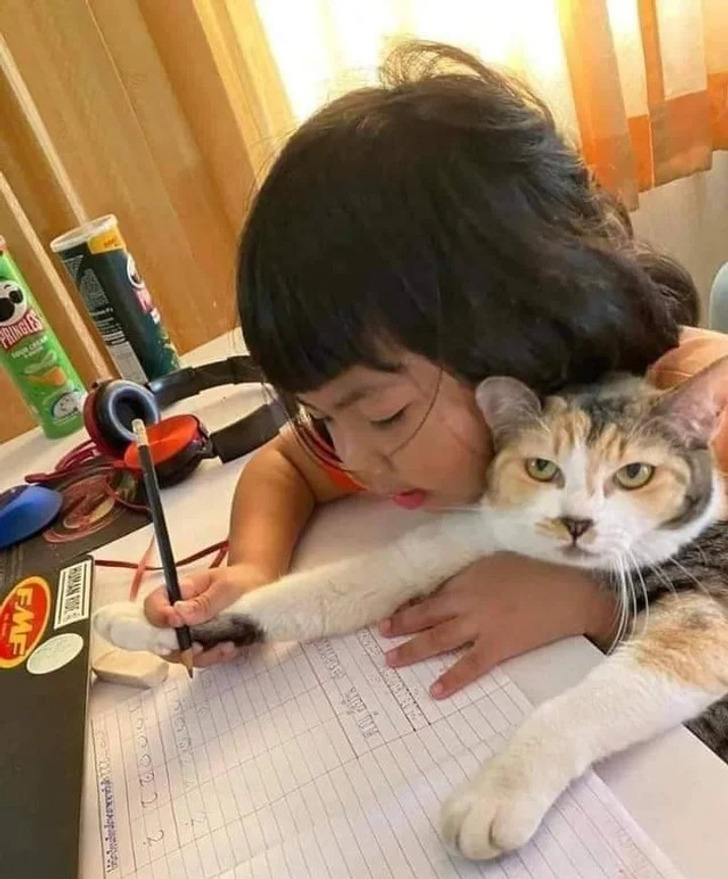 a7297b5acda1770822f0f1ddea