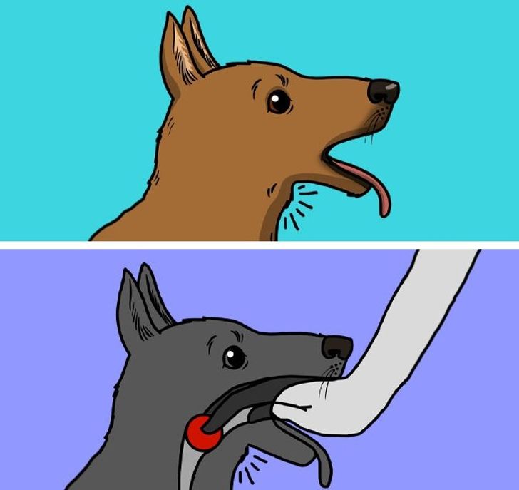 a7357a50ae9289bcf0fb4bb320