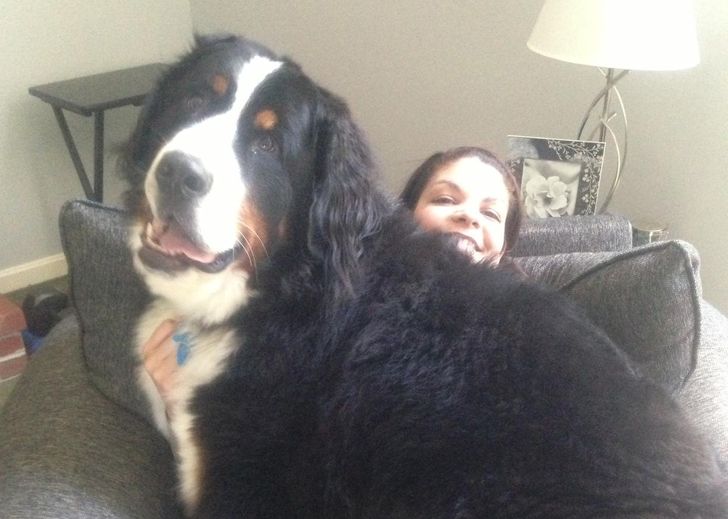 a743bb5b46b31366de6a34edeb