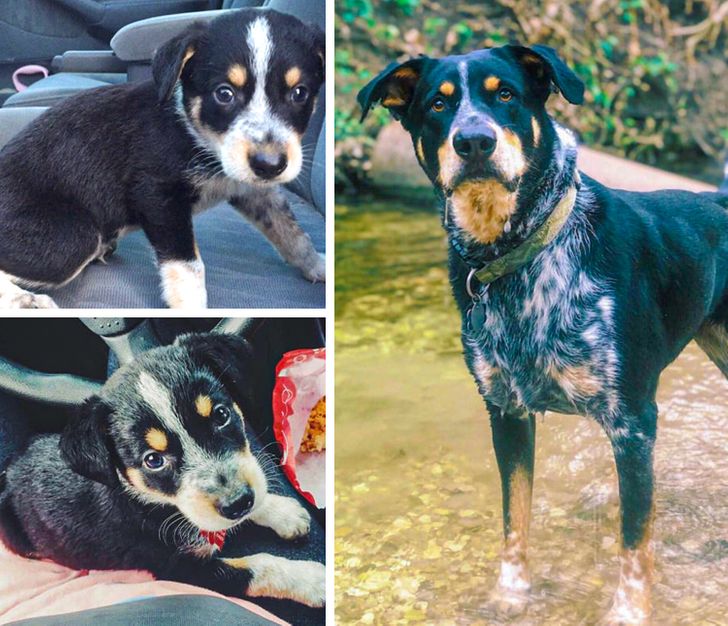 a747385184b2f5312f5ef5e5b9