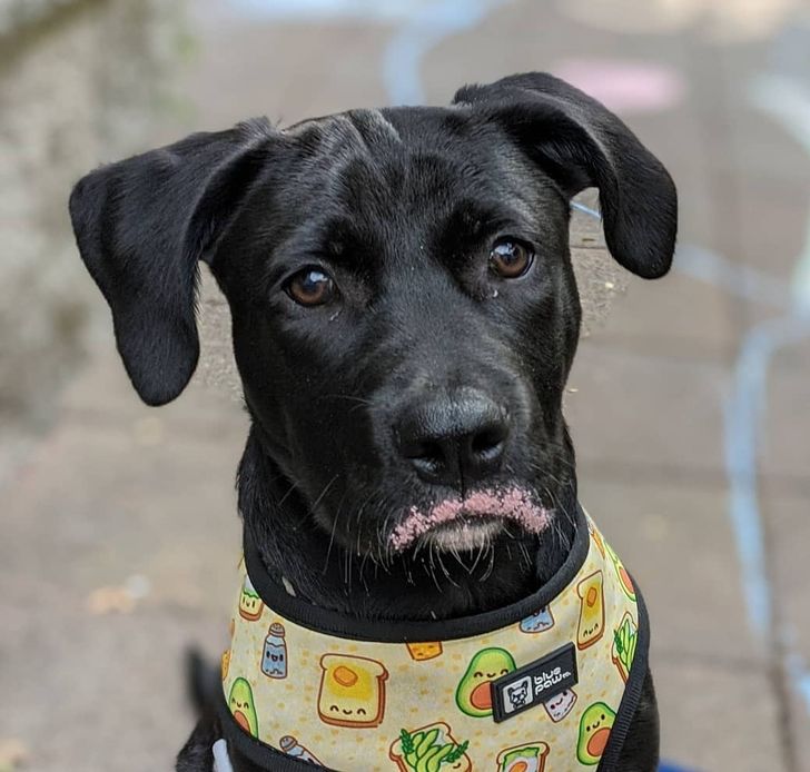 a751595e29bea71caa93414273