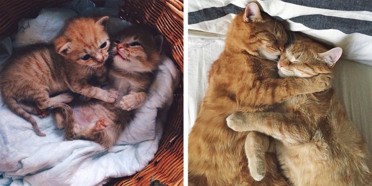 a753bd5eeabdc49e7af785bf4f