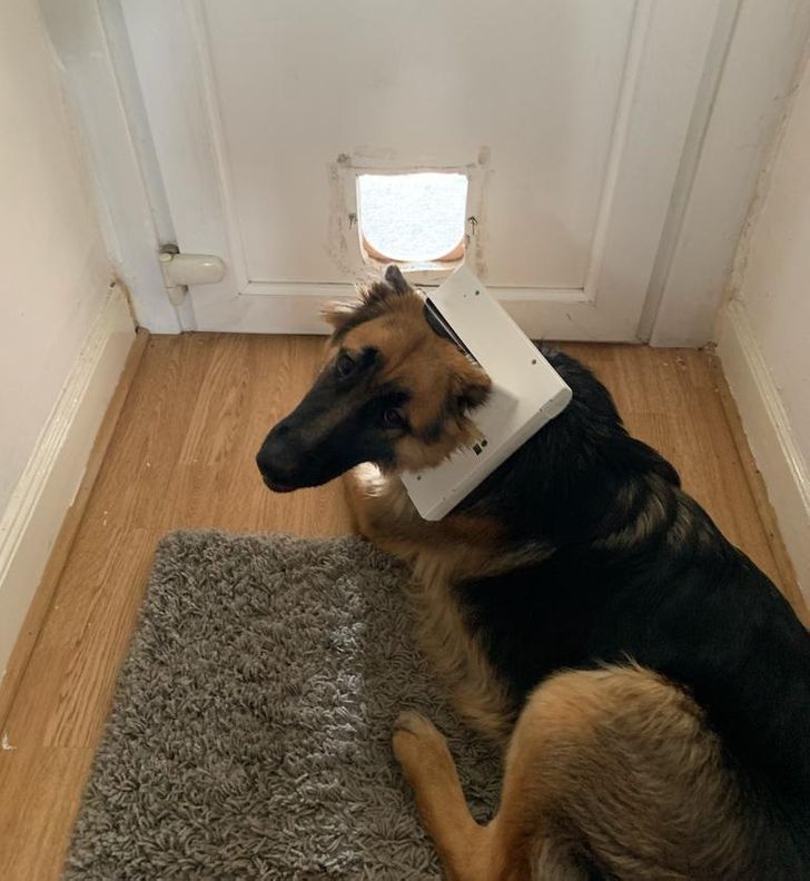 a7543d517aa8fa7a575af87a8c a7543d517aa8fa7a575af87a8c