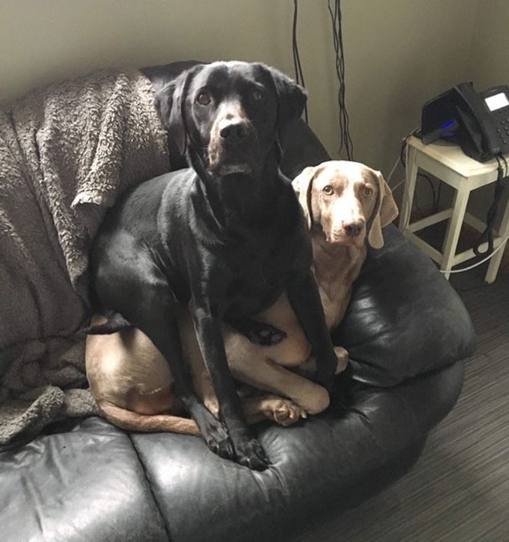 a756cf5b4989845c3f188bea6f