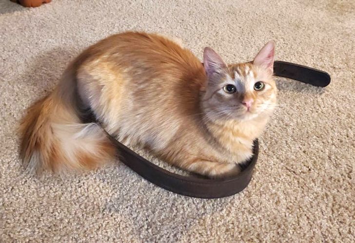 a75e1152faac63cbbc8bdfba0e