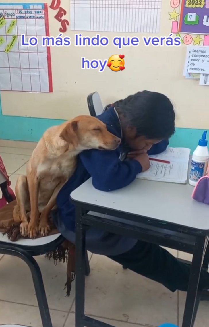 a768d8588a8fb55df07aa68821